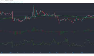 Monero, IOTA, Decred Price Analysis : 2 월 10 일