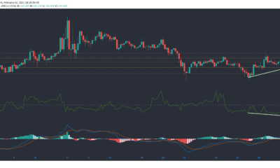 Monero, IOTA, Dogecoin 가격 분석 : 2 월 2 일