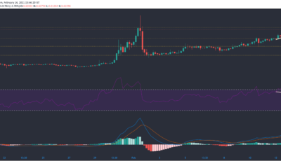 XRP, Cosmos, Dash 가격 분석 : 2 월 14 일