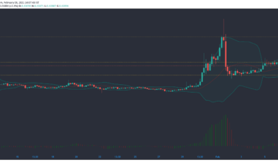 XRP, Monero, IOTA 가격 분석 : 2 월 8 일