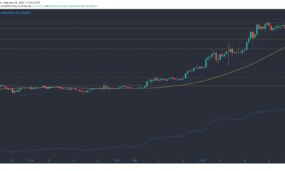 Cardano, Bitcoin SV, Algorand 가격 분석 : 2 월 15 일