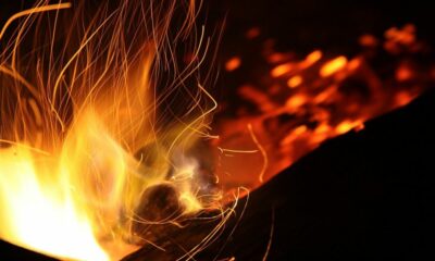 XRP, LTC, DOGE 보유자는 곧 Flare에서 '안정적인 토큰'을 생성 할 수 있습니다.