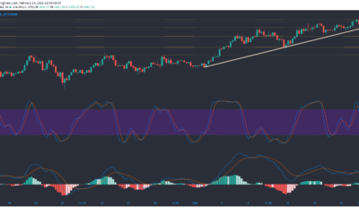 Ethereum, EOS, Synthetix 가격 분석 : 2 월 14 일