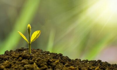MicroStrategy는 더 많은 비트 코인을 구매하기 위해 10 억 5 천만 달러의 부채 제안을 완료합니다.