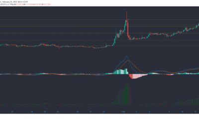 XRP, Aave, Basic Attention 토큰 가격 분석 : 2 월 15 일