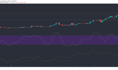 Tezos, UNI, Dogecoin 가격 분석 : 2 월 13 일