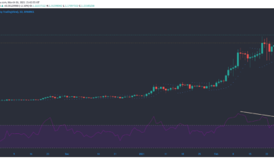 Cardano, NEM, Sushiswap 가격 분석 : 3 월 3 일
