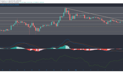 Cardano, EOS, Synthetix 가격 분석 : 3 월 7 일