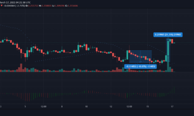 Cardano, Ethereum Classic, Crypto.com 코인 가격 분석 : 3 월 17 일