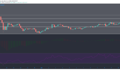 Bitcoin Cash, Dash, Enjin Coin 가격 분석 : 3 월 13 일