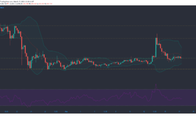 Bitcoin SV, Augur, Nano 가격 분석 : 3 월 17 일