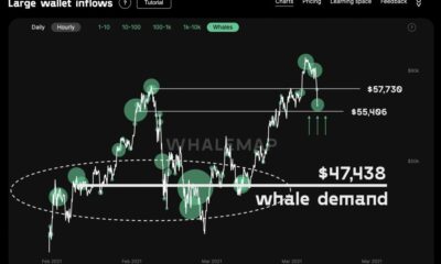 Bitcoin Whales를 당신보다 더 자주 보는 것이 중요한 이유