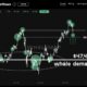 Bitcoin Whales를 당신보다 더 자주 보는 것이 중요한 이유