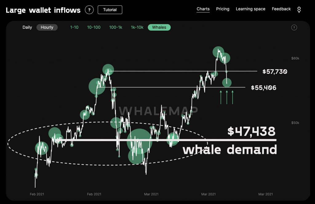 Bitcoin Whales를 당신보다 더 자주 보는 것이 중요한 이유