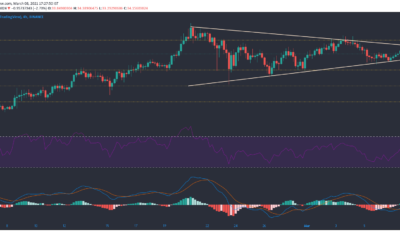 Polkadot, EOS, Algorand 가격 분석 : 3 월 8 일
