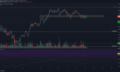 Ethereum, Monero, Dogecoin 가격 분석 : 3 월 13 일