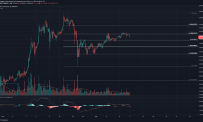 Tron, Augur, Decred 가격 분석 : 3 월 11 일