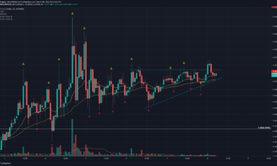 XRP, Aave, Dogecoin 가격 분석 : 3 월 8 일