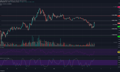 Cardano, BAT, Dogecoin 가격 분석 : 3 월 5 일