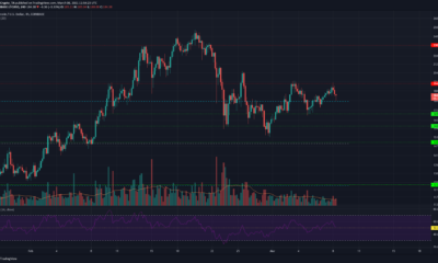 Litecoin, Crypto.com Coin, Ethereum Classic 가격 분석 : 3 월 8 일