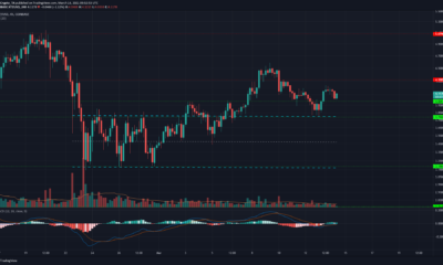 Tezos, Dash, Decred Price Analysis : 3 월 14 일