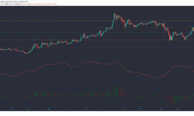 Stellar Lumens, Algorand, STEEM 가격 분석 : 3 월 2 일
