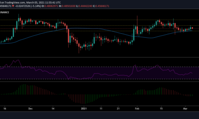 XRP, Cosmos, VeChain 가격 분석 : 3 월 5 일