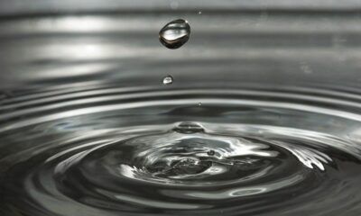 Ripple은 XRP의 상태가 아직 결정되지 않았 음을 강조하는 Tetragon 평결을 인용합니다.