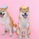 온라인 타이어 및 휠 소매 업체는 Dogecoin, Bitcoin 및 Ethereum을 지불로 허용합니다.