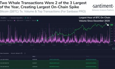 최신 BTC 고래 거래가 가격 랠리에 미치는 영향