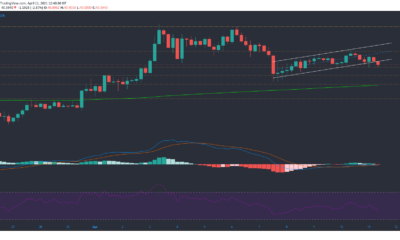 Polkadot, Dogecoin, Chiliz 가격 분석 : 4 월 11 일