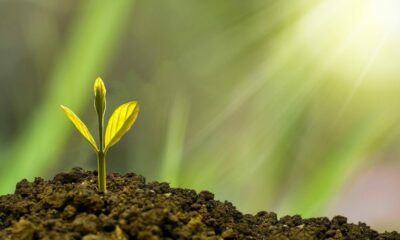 XRP의 법적 전투는 중요하지 않습니까?  Ripple 실험실은 언제 공개 되나요?