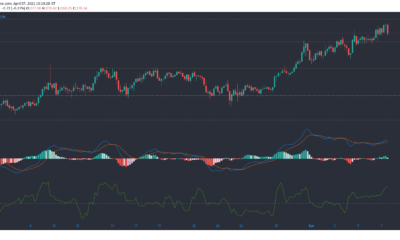 Monero, Algorand, Hedera Hashgraph, Enjin Coin 가격 분석 : 4 월 7 일