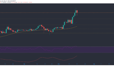 Cardano, Ethereum, Polkadot 가격 분석 : 5 월 17 일