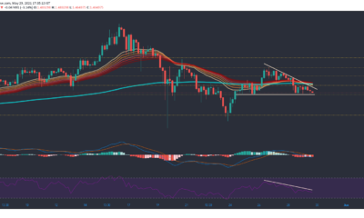 Cardano, ICP, Dogecoin 가격 분석 : 5 월 29 일