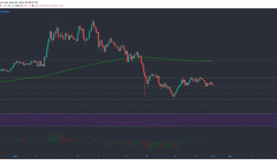 비트 코인 캐시, IOTA, 이더 리움 가격 분석 : 5 월 29 일