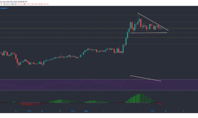 Bitcoin Cash, Ethereum Classic, Polkadot 가격 분석 : 5 월 9 일
