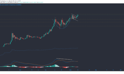 바이 낸스 코인, XRP, 도지 코인 가격 분석 : 5 월 10 일