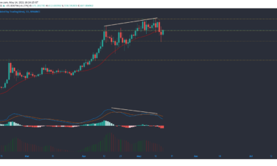 바이 낸스 코인, BitTorrent, VeChain 가격 분석 : 5 월 14 일