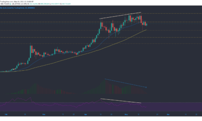 바이 낸스 코인, XRP, 도지 코인 가격 분석 : 5 월 16 일