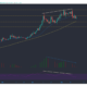 바이 낸스 코인, XRP, 도지 코인 가격 분석 : 5 월 16 일
