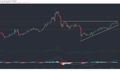 Bitcoin SV, Litecoin, Polkadot 가격 분석 : 5 월 2 일