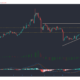 Bitcoin SV, Litecoin, Polkadot 가격 분석 : 5 월 2 일