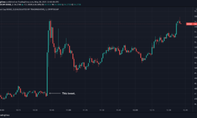 Dogecoin에 대해 이것을 주장하는 것은 과장이 아닙니다.