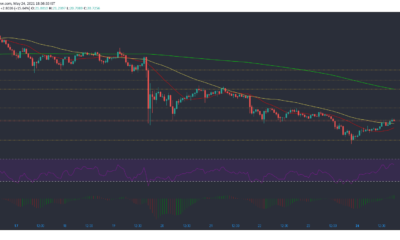 Polkadot, Stellar Lumens, Uniswap 가격 분석 : 5 월 24 일