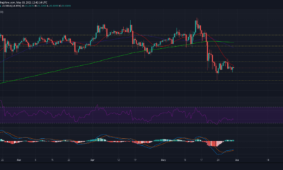 Polkadot, Bitcoin Cash, Solana 가격 분석 : 5 월 30 일