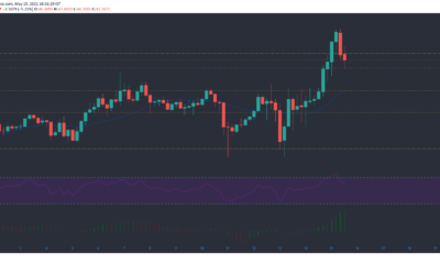 Polkadot, IOTA, Ethereum Classic 가격 분석 : 5 월 15 일