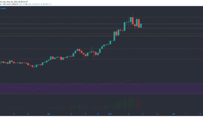 Ethereum, Ethereum Classic, Bitcoin Cash 가격 분석 : 5 월 16 일