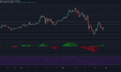 Chainlink, Litecoin, Matic 가격 분석 : 5 월 30 일
