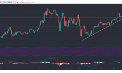 Chainlink, Uniswap, Filecoin 가격 분석 : 5 월 2 일